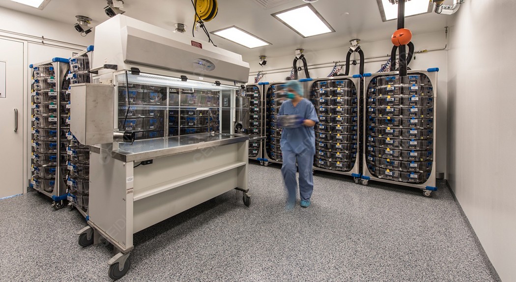 我國主導(dǎo)的首個合成基因質(zhì)量控制國際標準發(fā)布